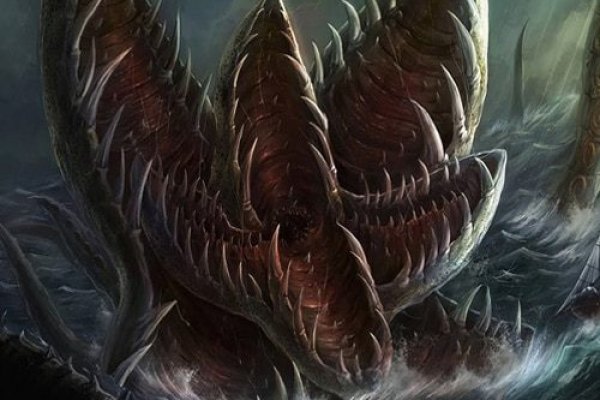Kraken 24 top
