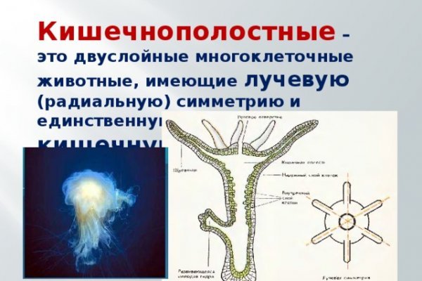 Кракен даркнет ссылка зеркало