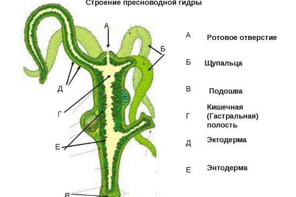 Кракен зеркало ссылка онлайн